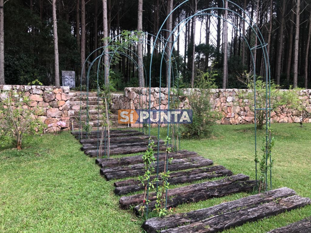 Chacra ID.5939 - Chacra en venta en Laguna del Diario 