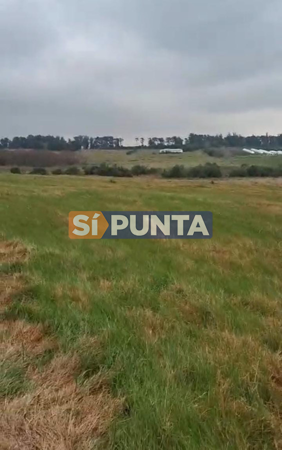 Chacra ID.13099 - Chacra de 5 has en venta 