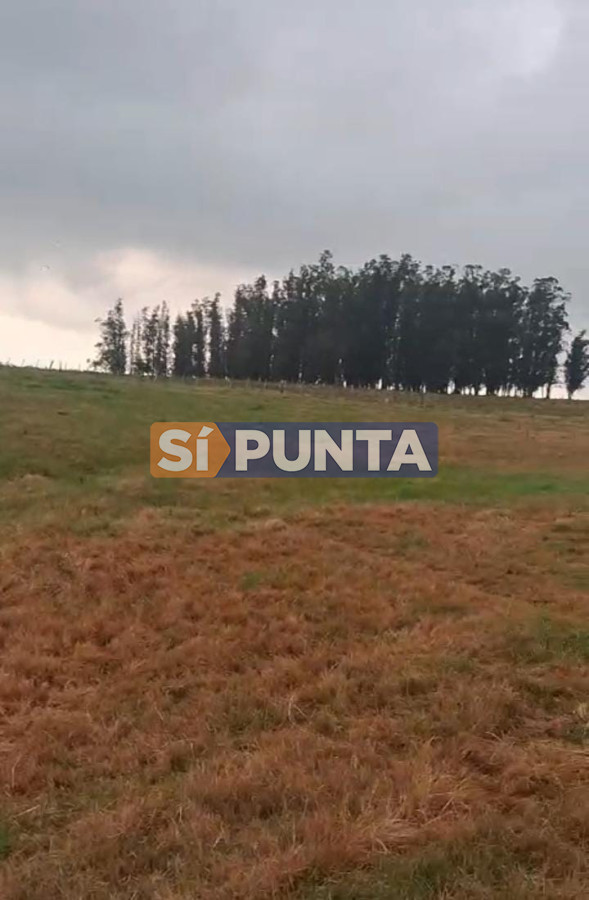 Chacra ID.13099 - Chacra de 5 has en venta 