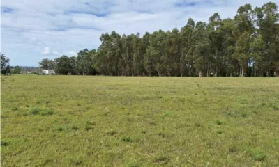 Chacra en Camino Los Ceibos