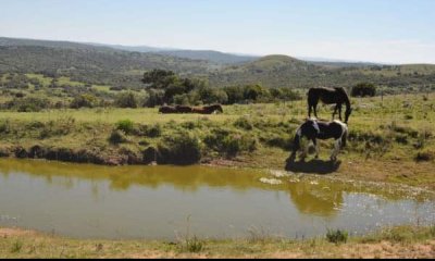 Chacra a la venta Ruta 39, camino Cerro Catedral