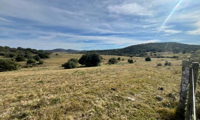 Chacra de 5 has en venta