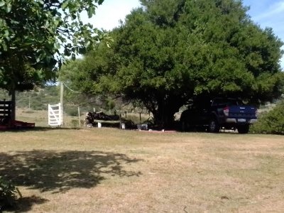campo en venta, las cañas  - spt9309p