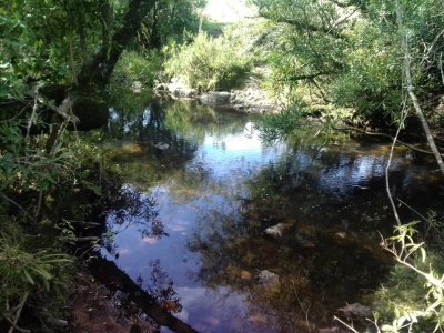 campo en venta, las cañas  - spt9309p