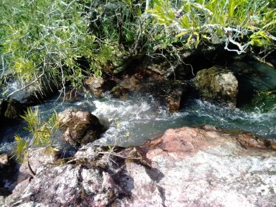 campo en venta, las cañas  - spt9309p