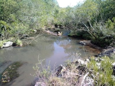 campo en venta, las cañas  - spt9309p