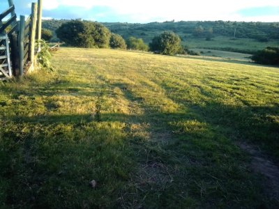 campo en venta, las cañas  - spt9309p