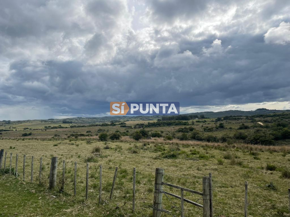 Campo en Venta, Garzón  - SPT9159P