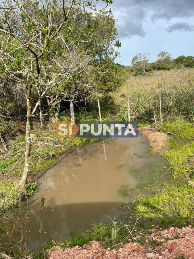 Campo Ref.9159 - Campo en Venta, Garzón 