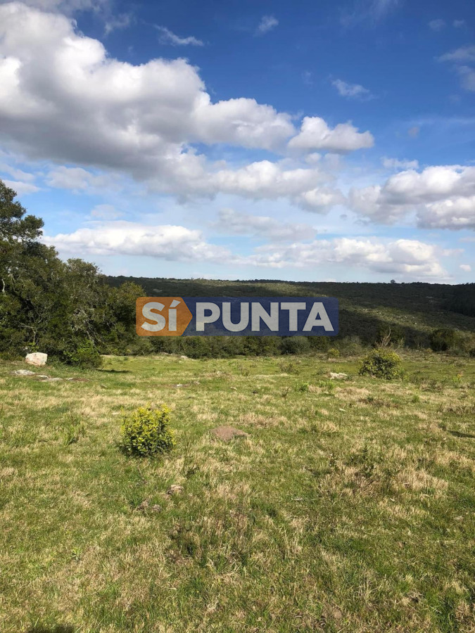 Campo Ref.13160 - Campo 150 has en Venta, Los Caracoles