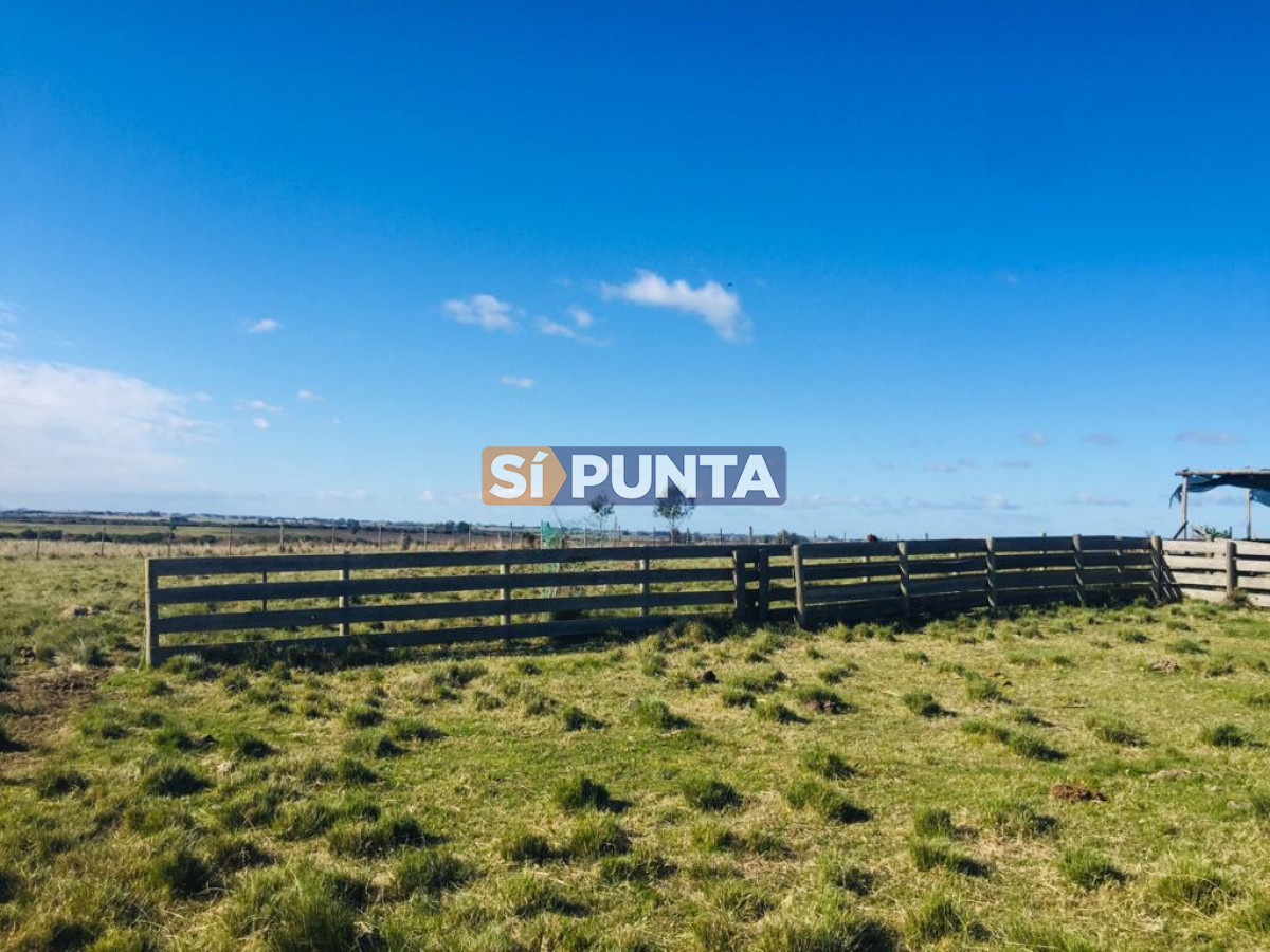 Campo Ref.7116 - Campo en venta, 18 hectáreas 