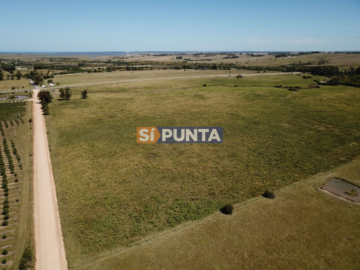 Campo Ref.2728 - Campo en Garzón venta turístico