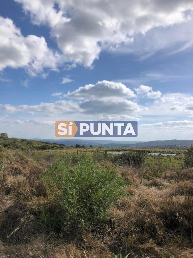 Campo Ref.13160 - Campo 150 has en Venta, Los Caracoles