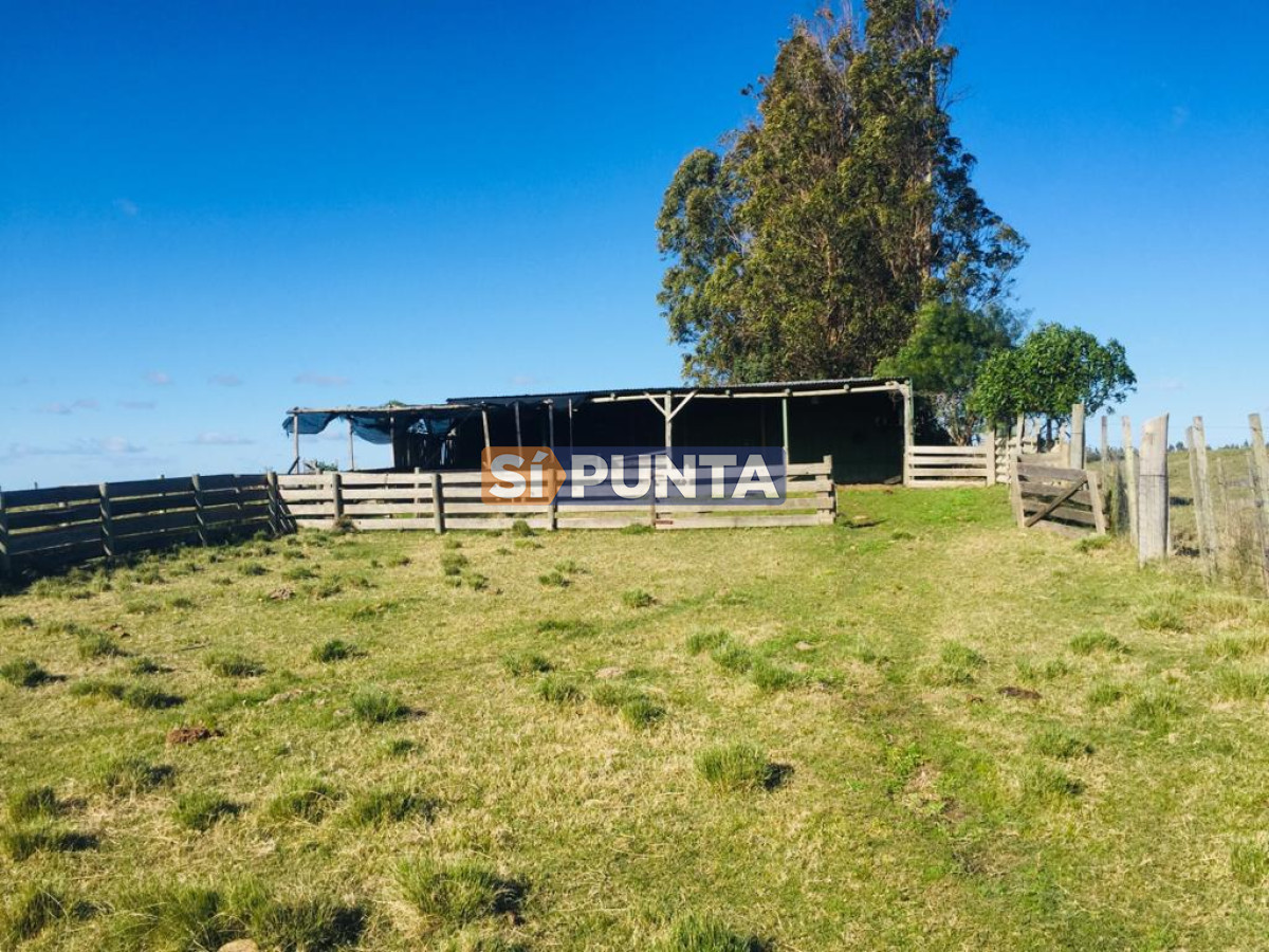 Campo Ref.7116 - Campo en venta, 18 hectáreas 