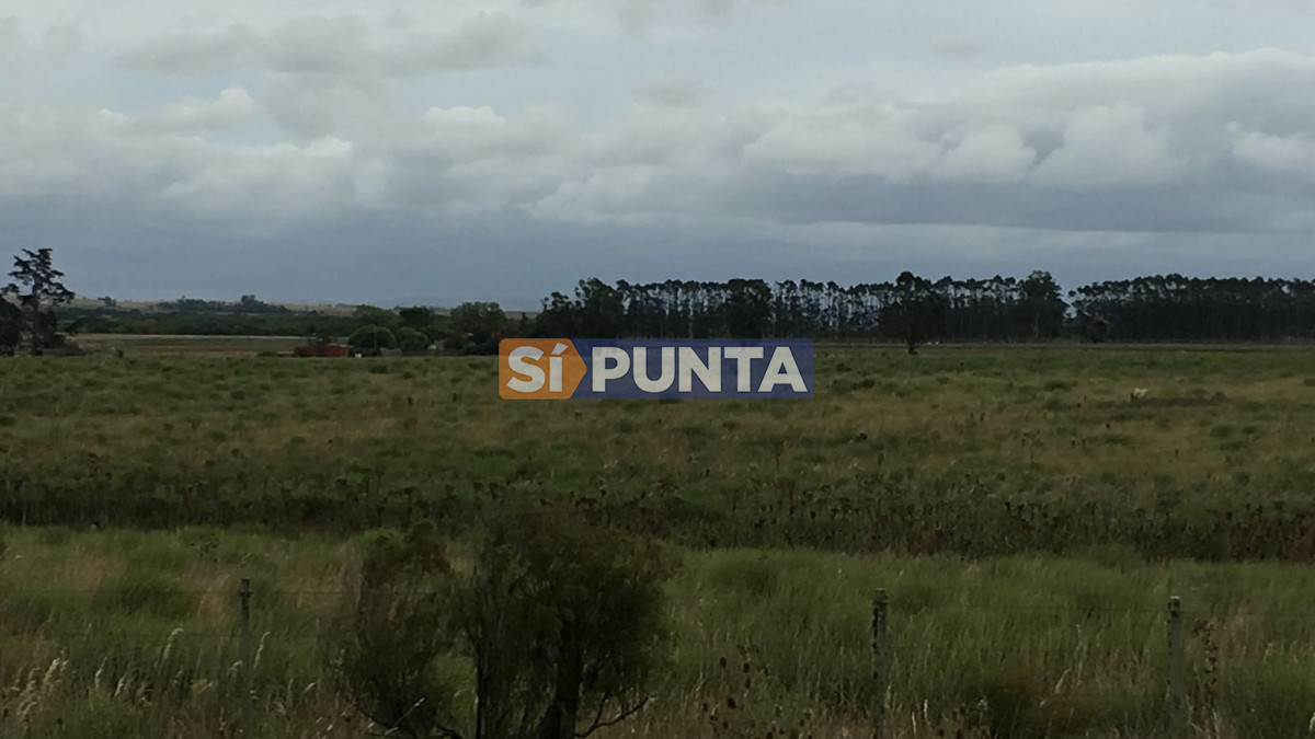 Campo Ref.2728 - Campo en Garzón venta turístico