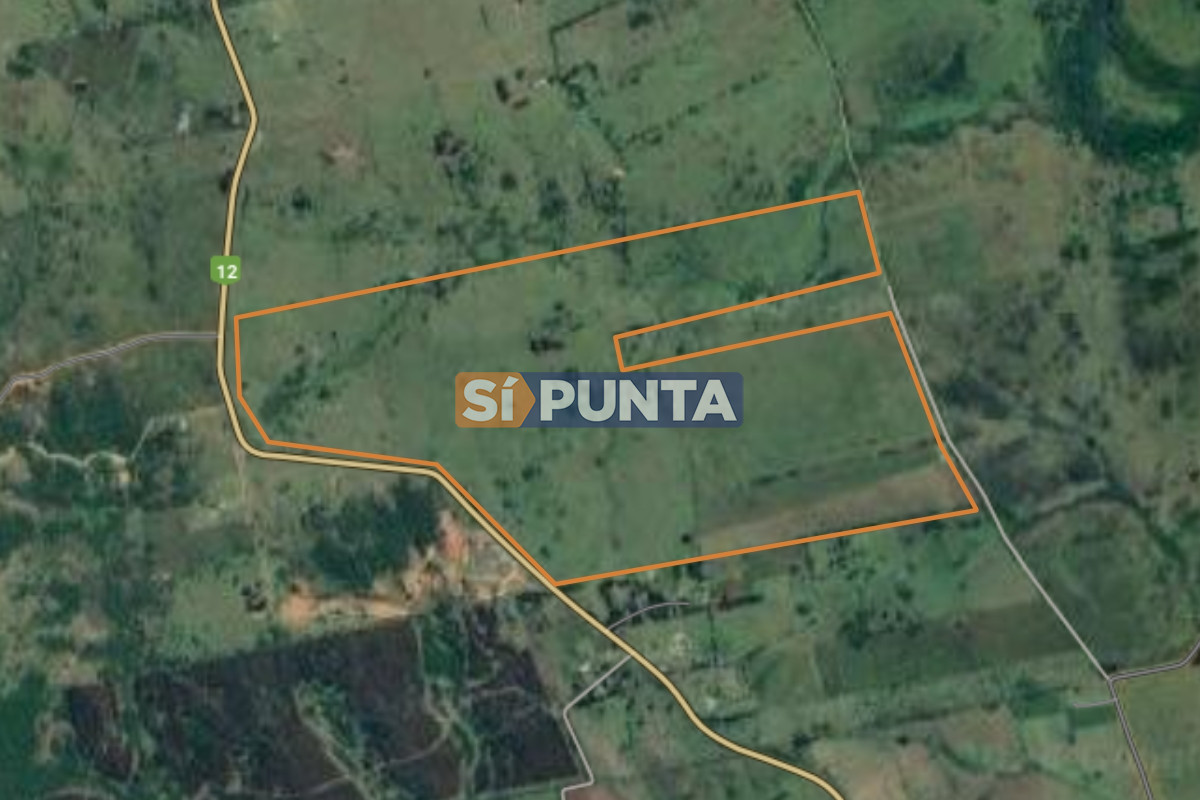 Campo Ref.11655 - Campo en venta Ruta 12