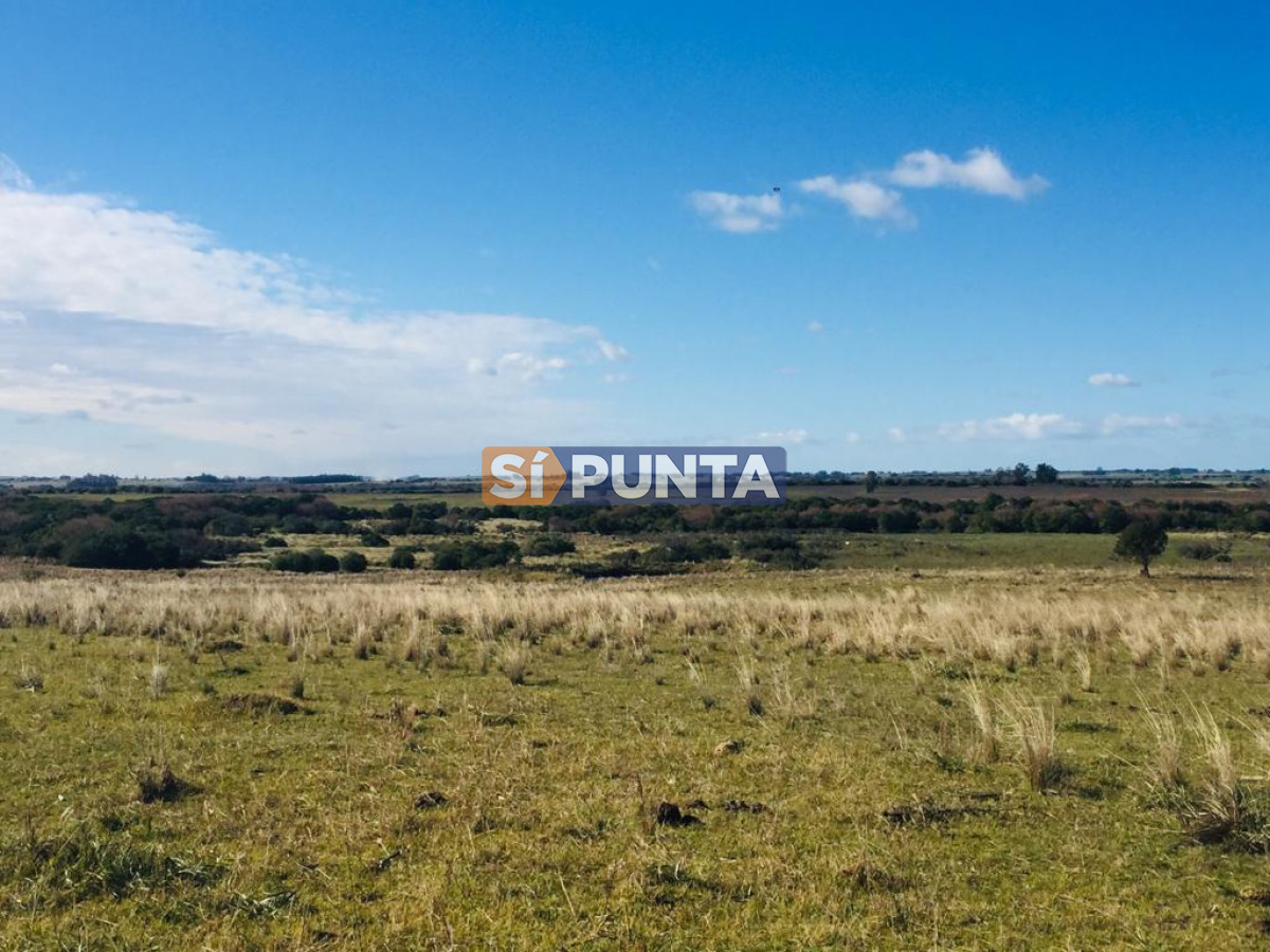 Campo Ref.7116 - Campo en venta, 18 hectáreas 