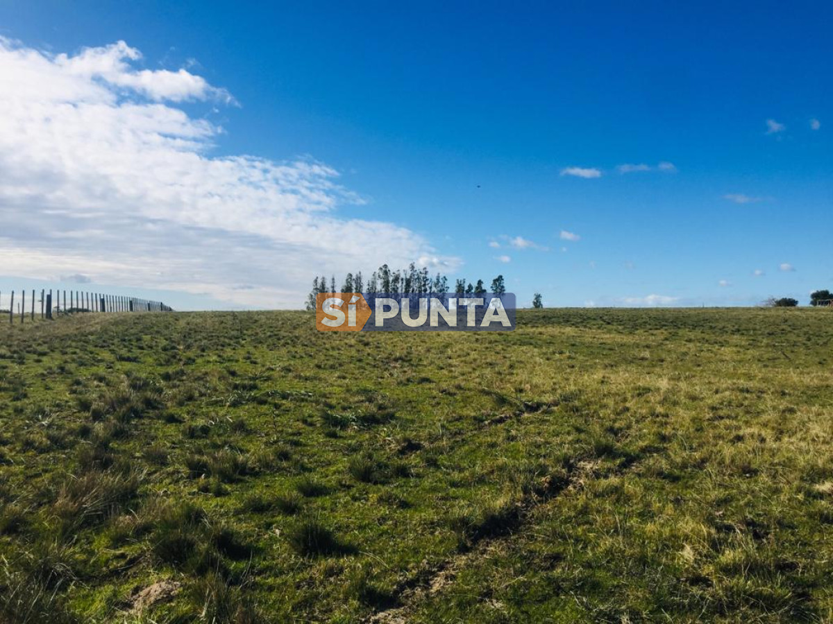 Campo Ref.7116 - Campo en venta, 18 hectáreas 
