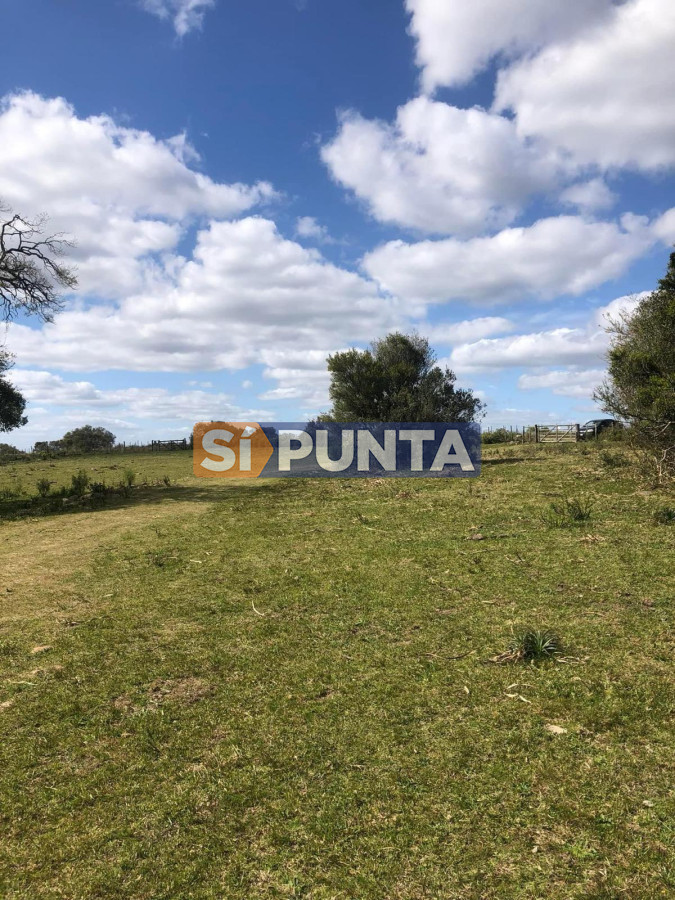 Campo Ref.13160 - Campo 150 has en Venta, Los Caracoles