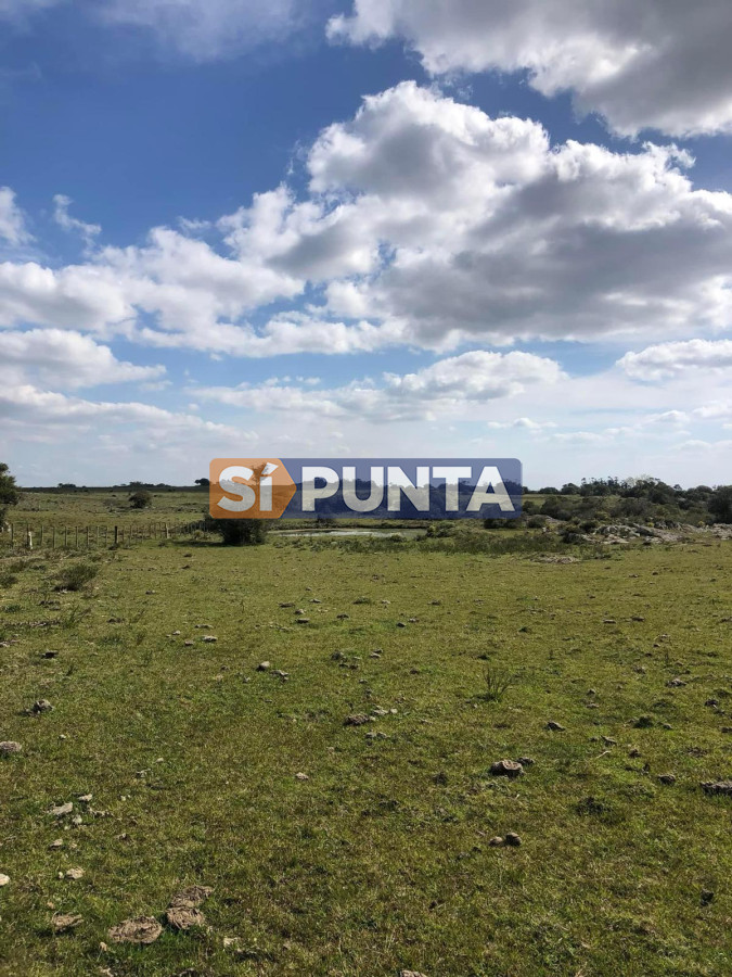 Campo Ref.13160 - Campo 150 has en Venta, Los Caracoles