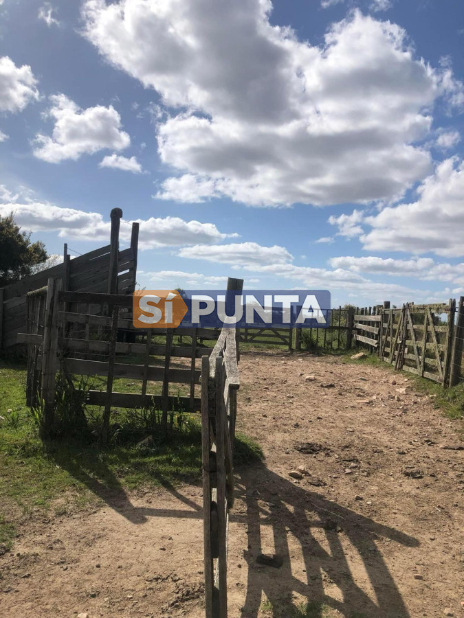 Campo Ref.13160 - Campo 150 has en Venta, Los Caracoles