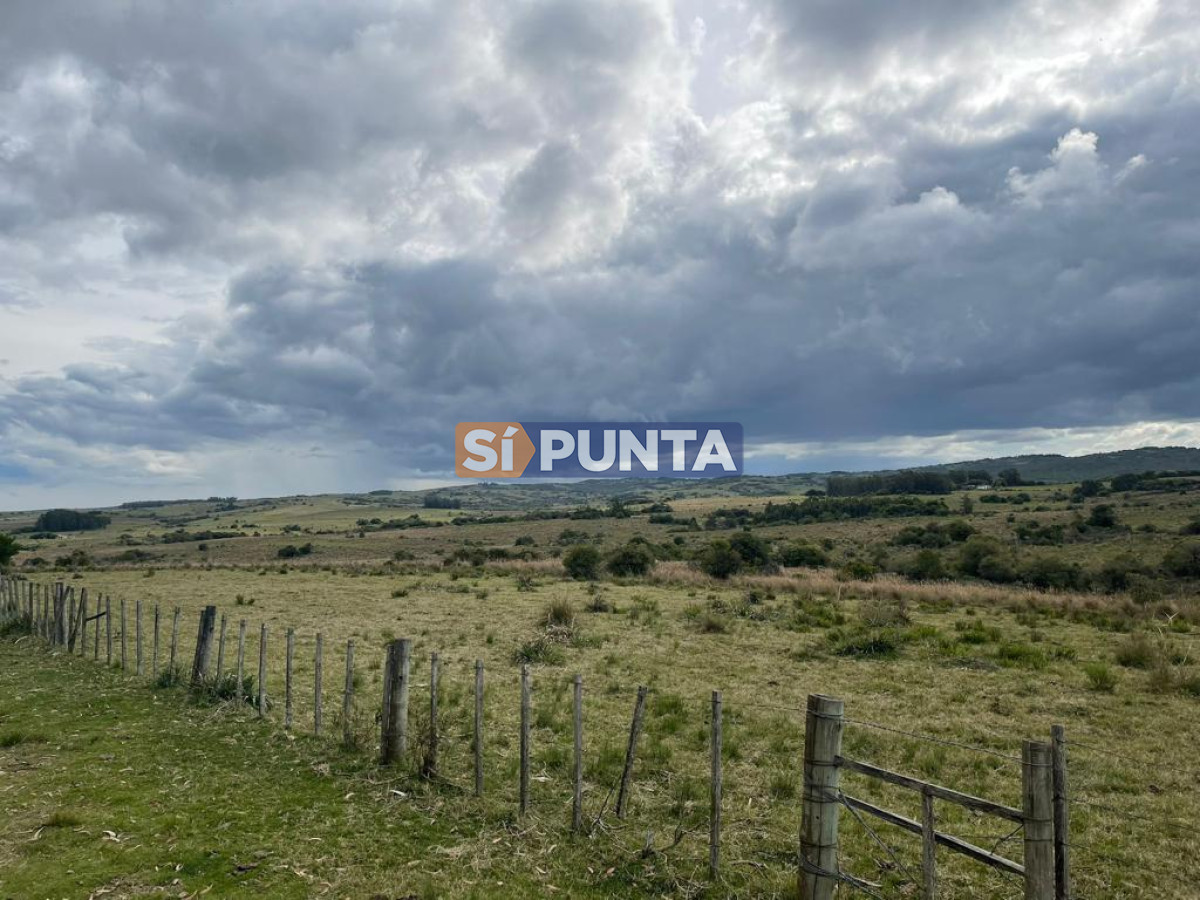 Campo Ref.9159 - Campo en Venta, Garzón 