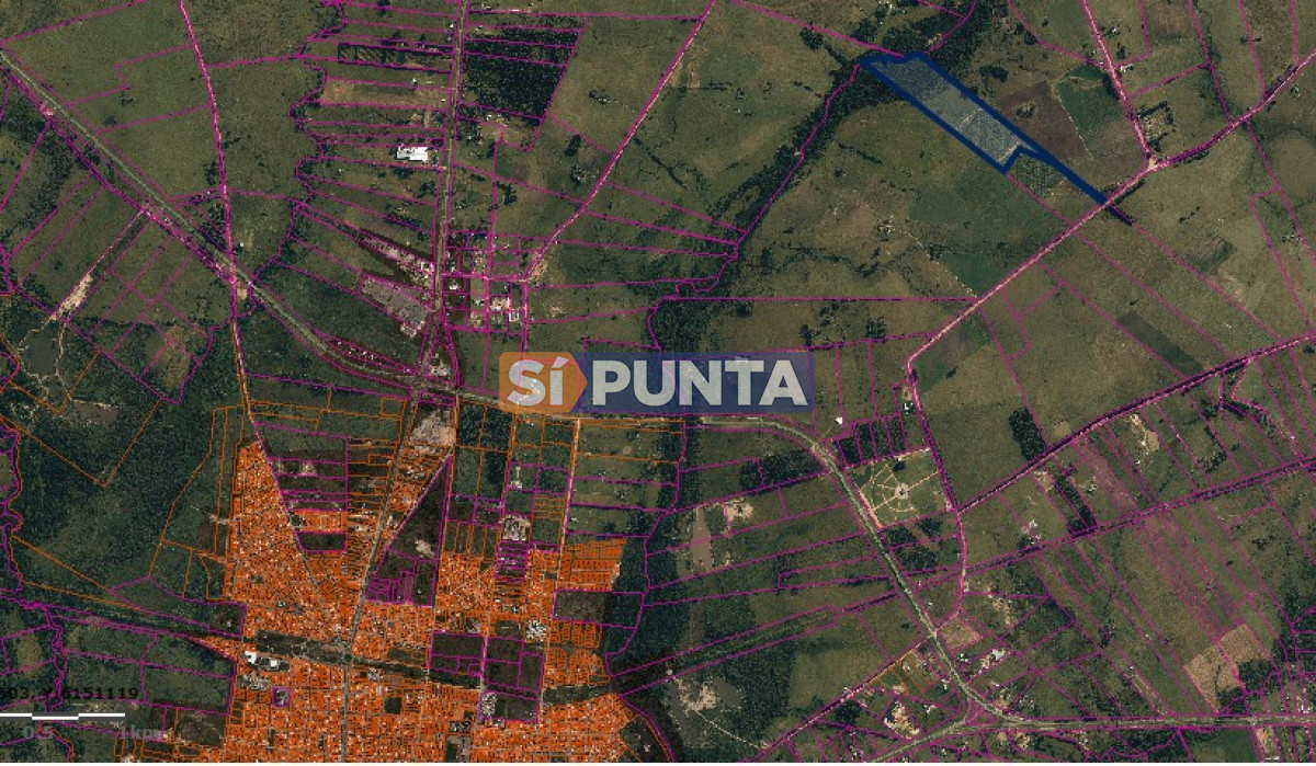 Campo Ref.11384 - Venta de Campo en Cañada Bellaca  