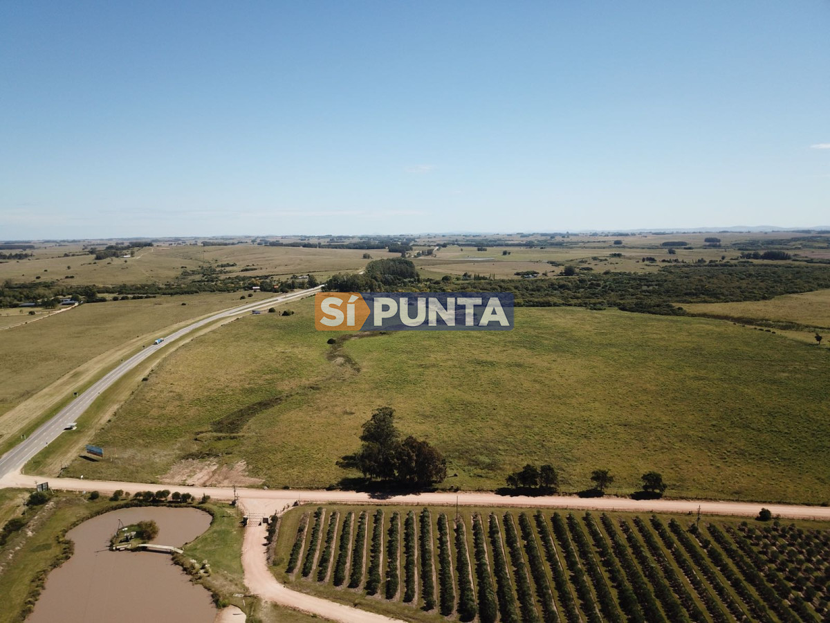 Campo Ref.2728 - Campo en Garzón venta turístico