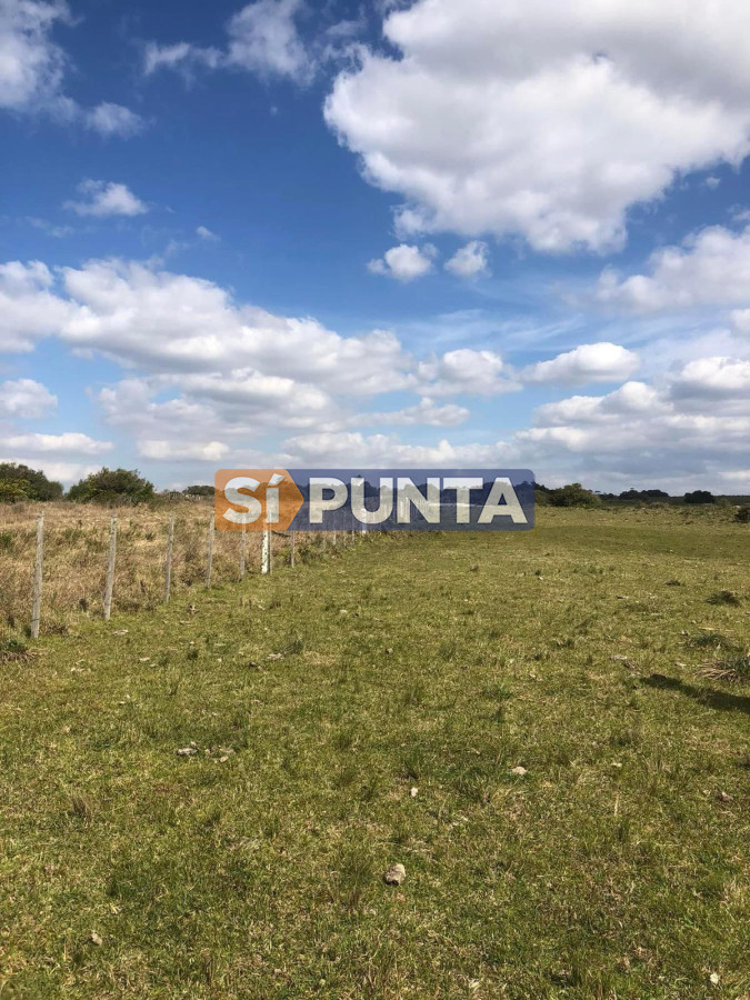 Campo Ref.13160 - Campo 150 has en Venta, Los Caracoles