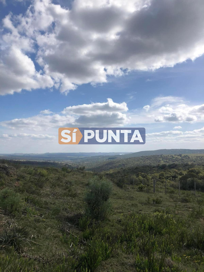 Campo Ref.13160 - Campo 150 has en Venta, Los Caracoles