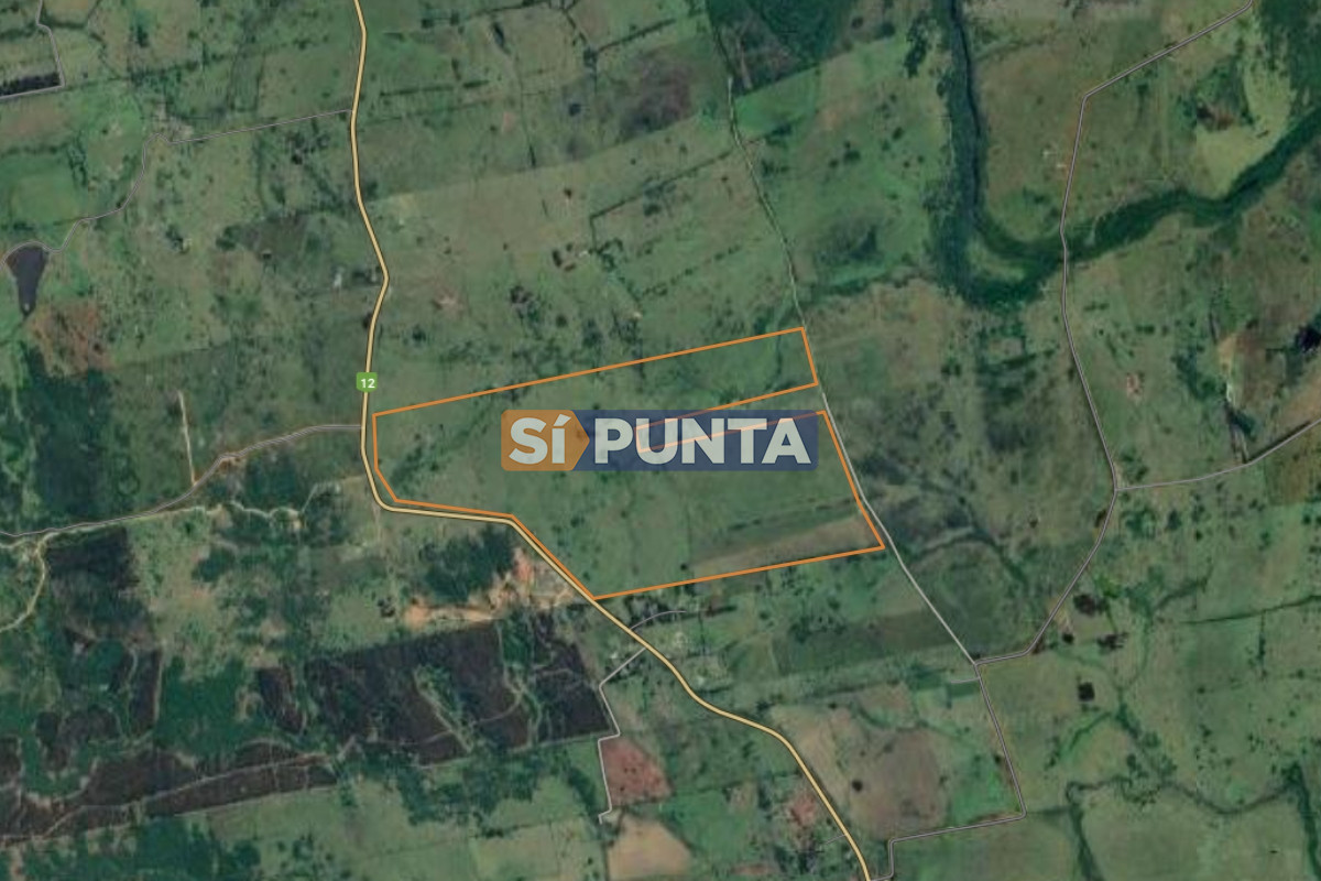 Campo Ref.11655 - Campo en venta Ruta 12