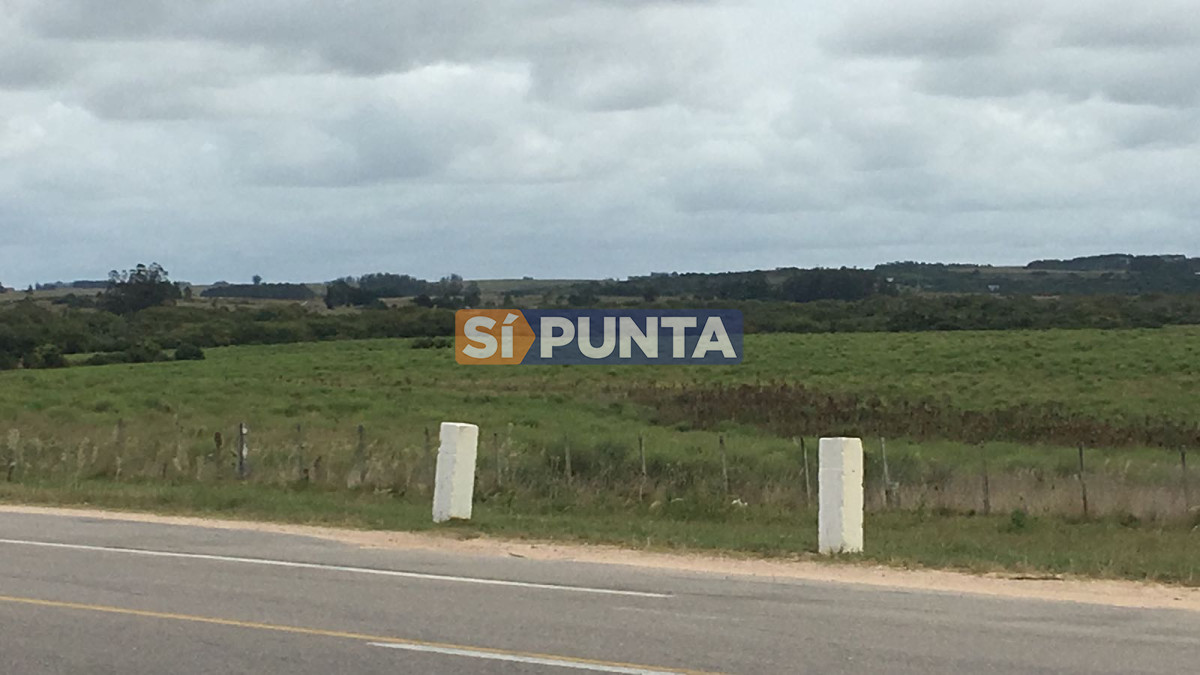 Campo Ref.2728 - Campo en Garzón venta turístico