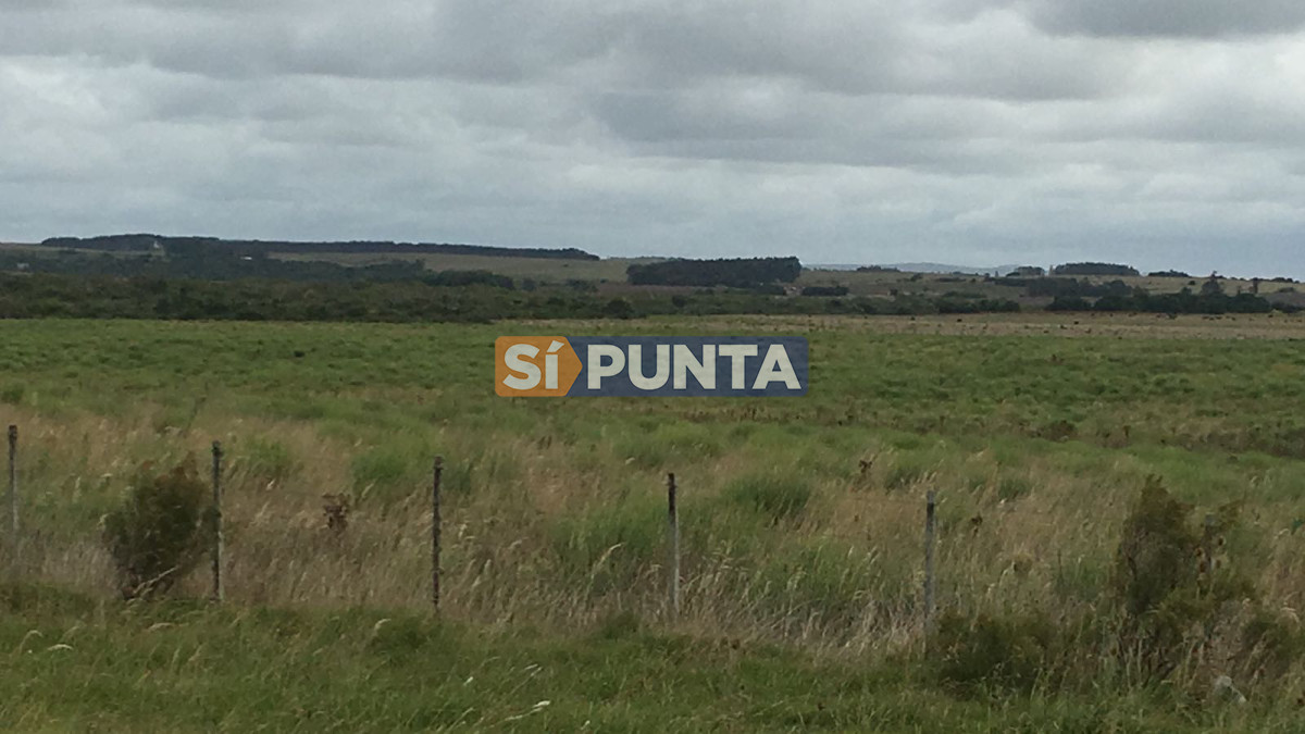 Campo Ref.2728 - Campo en Garzón venta turístico