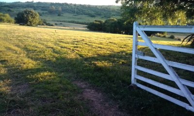 Campo en Venta, Las Cañas