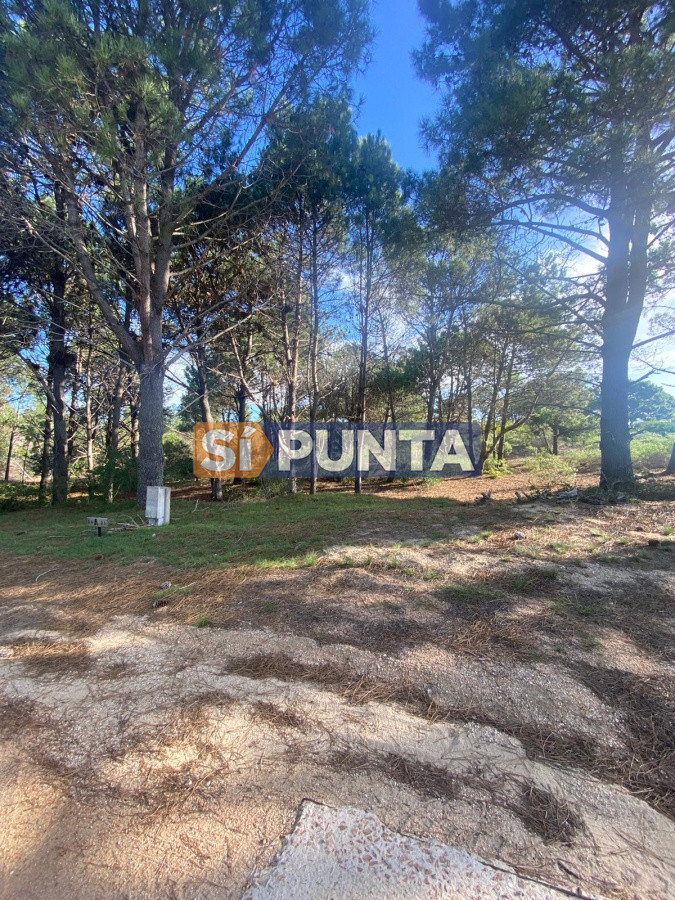 Lote en Barrio Privado Laguna Escondida - José Ignacio - SPT8661T