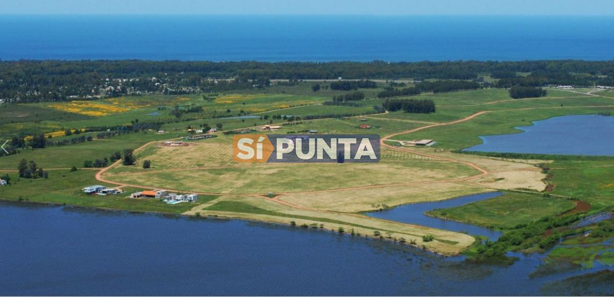 Terreno en venta, Laguna de los Cisnes  - SPT8740T