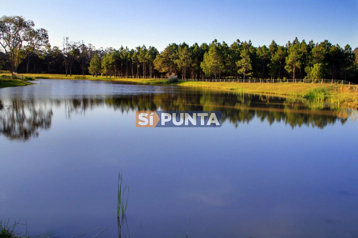 Lote en venta Veramansa  - SPT13599T
