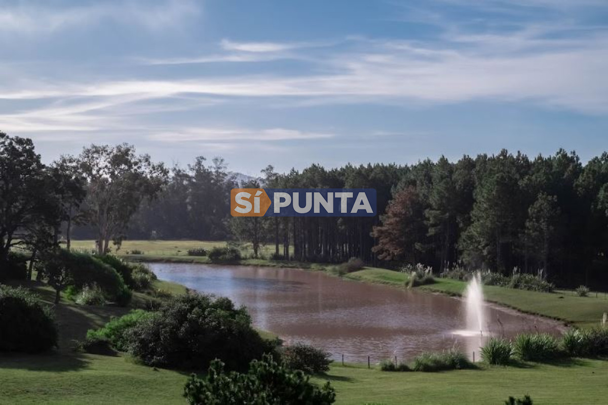 Lote en venta - Veramansa - SPT5689T