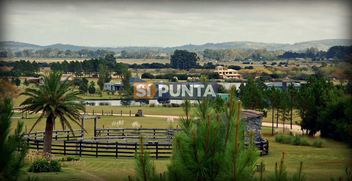 Chacra ID.13561 - Lote en Venta El Quijote 