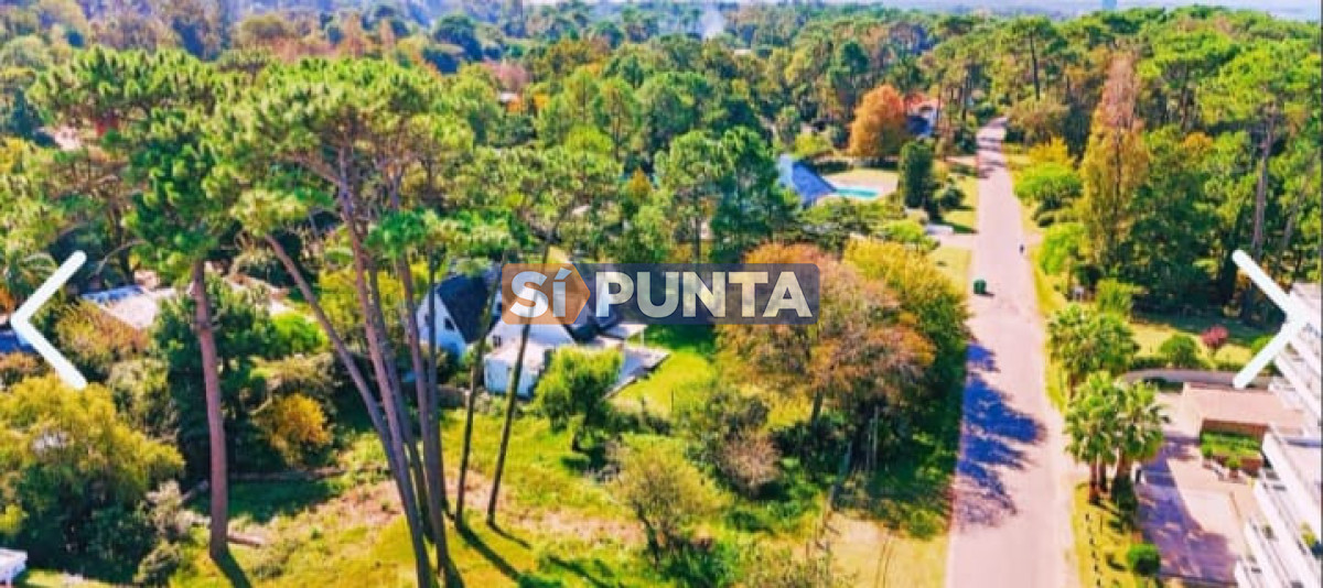 Terreno en venta Rincon Del Indio  - SPT13878T