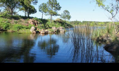 Terreno en Venta en Camino Lussich Chacras del Pinar