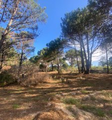 Lote en Barrio Privado Laguna Escondida - José Ignacio