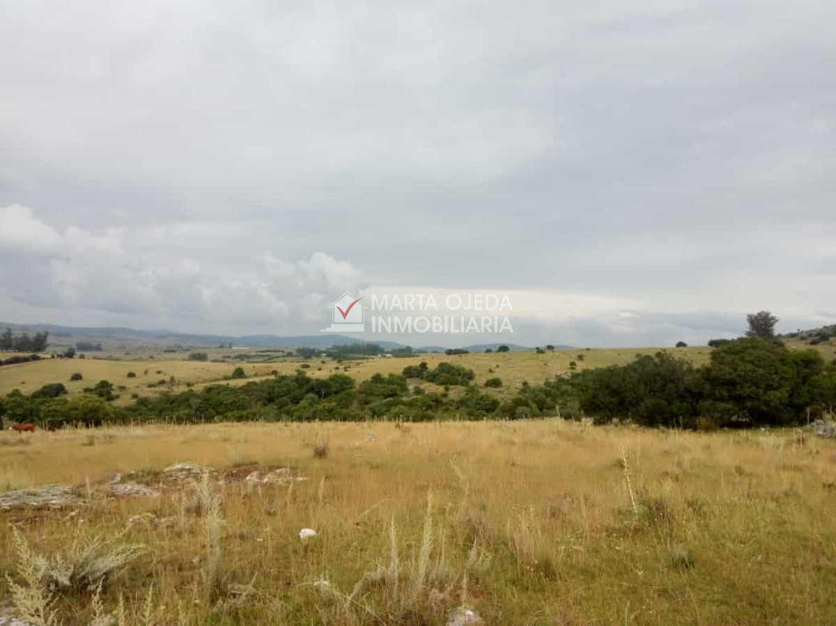 Pueblo Eden - GoPunta - Portal Inmobiliario de Punta del Este - Maldonado