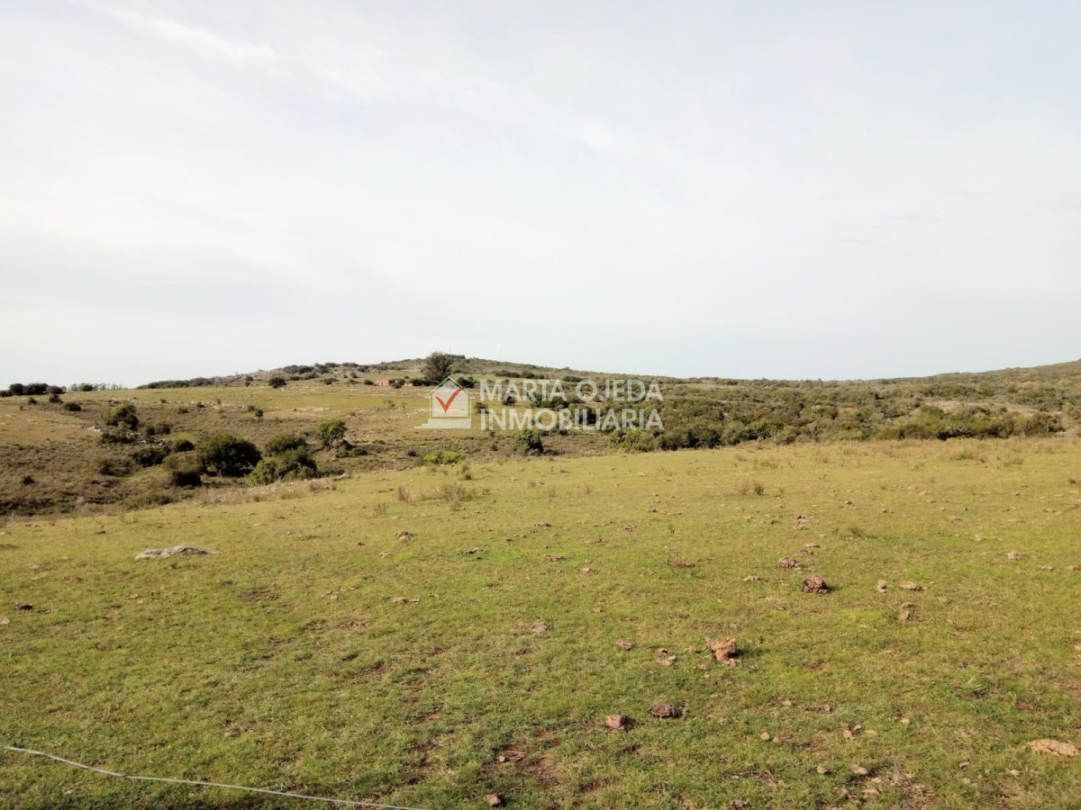 Pueblo Eden - GoPunta - Portal Inmobiliario de Punta del Este - Maldonado