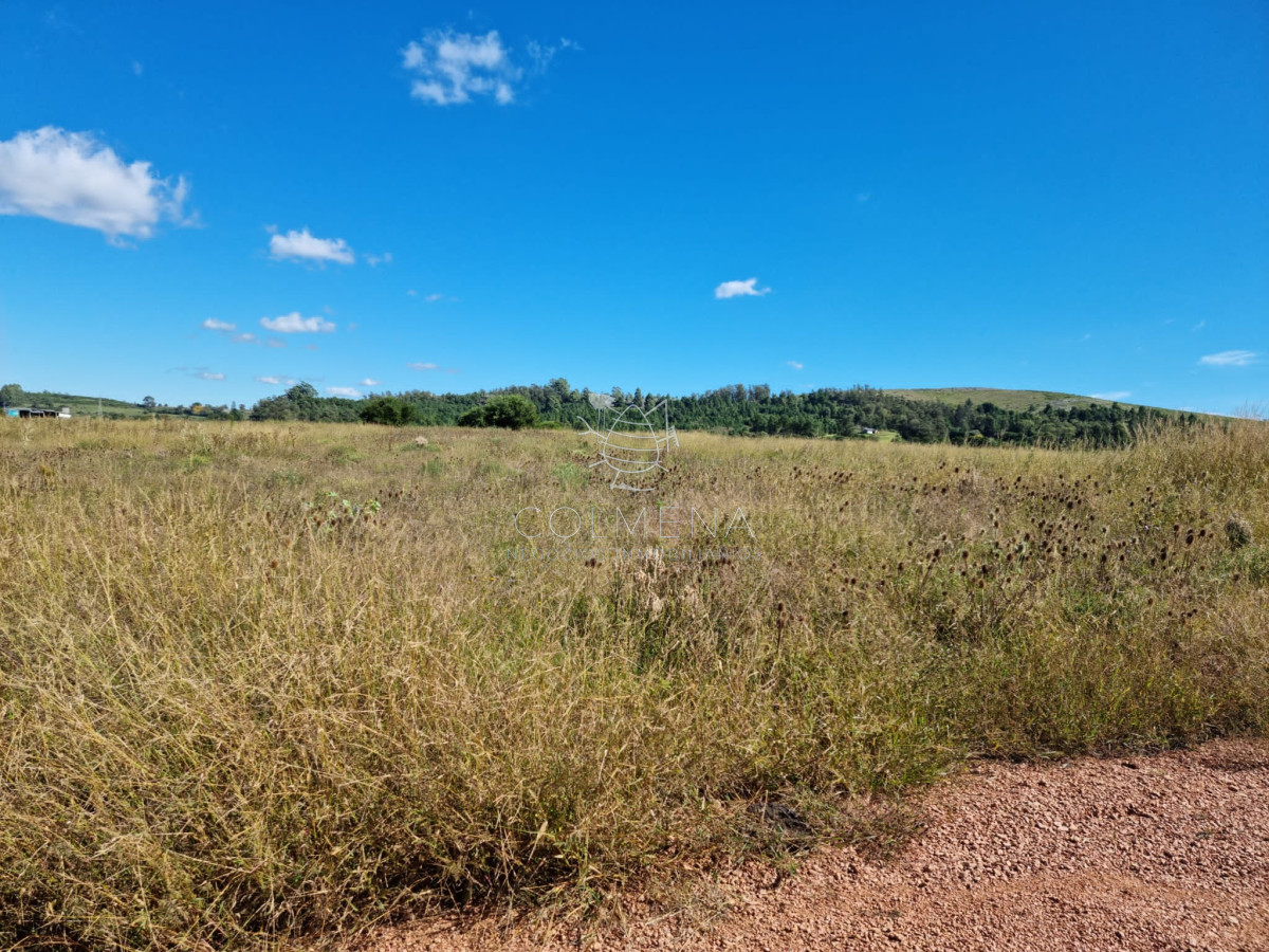 Camino de los Ceibos - GoPunta - Portal Inmobiliario de Punta del Este - Maldonado