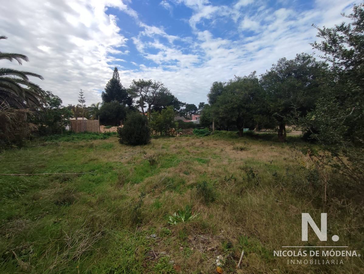 Rincón del Indio - GoPunta - Portal Inmobiliario de Punta del Este - Maldonado