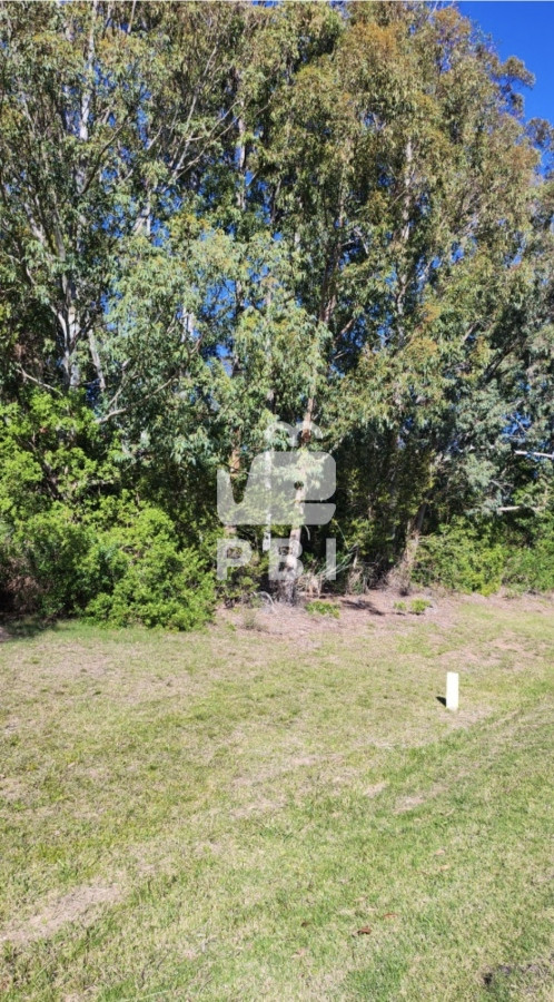 VmVudGEgdGVycmVubyBQdW50YSBCYWxsZW5hLCBSdXRhIDEyLCBMYWd1bmEgZGVsIFNhdWNlIC0gUmVmIDogUEJJMTUwNzg=