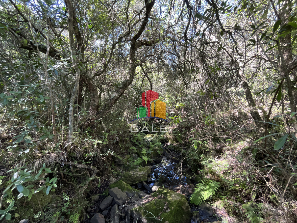Chacra ID.3638 - Venta Chacras Pueblo Edén. ruta 12, Maldonado. 