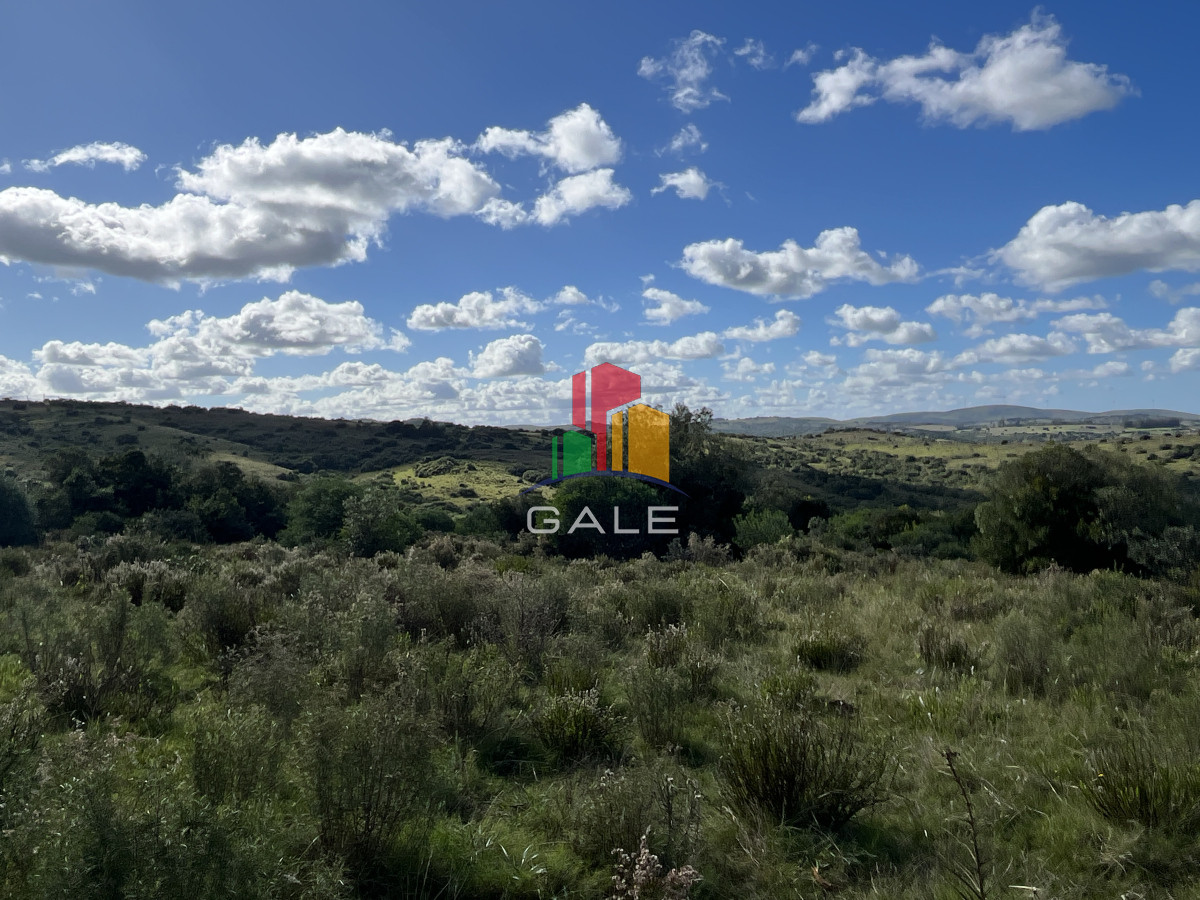 Chacra ID.3638 - Venta Chacras Pueblo Edén. ruta 12, Maldonado. 