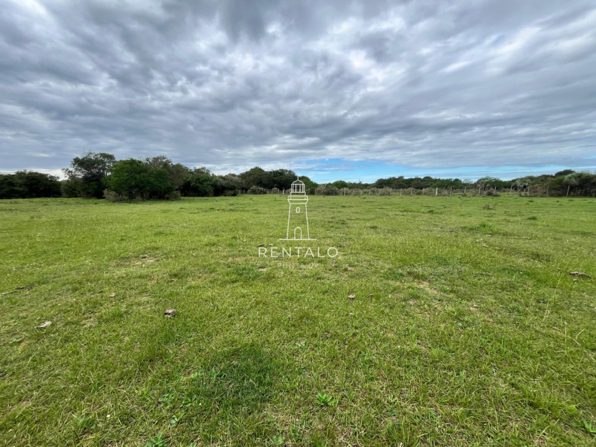 Chacra ID.1135 - Venta de chacras de 3 has en camino de Los Ceibos. Maldonado. 